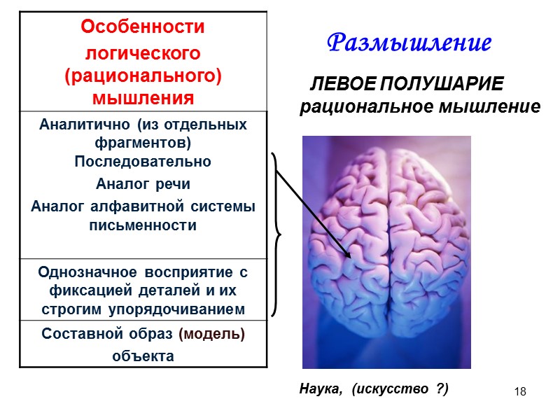 18         ЛЕВОЕ ПОЛУШАРИЕ   